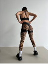 Leggings FITRUN Leggings Super Nuts Push-Up "Leopard"