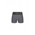 Shorts FITRUN Shorts Super Nuts "Total Silver"